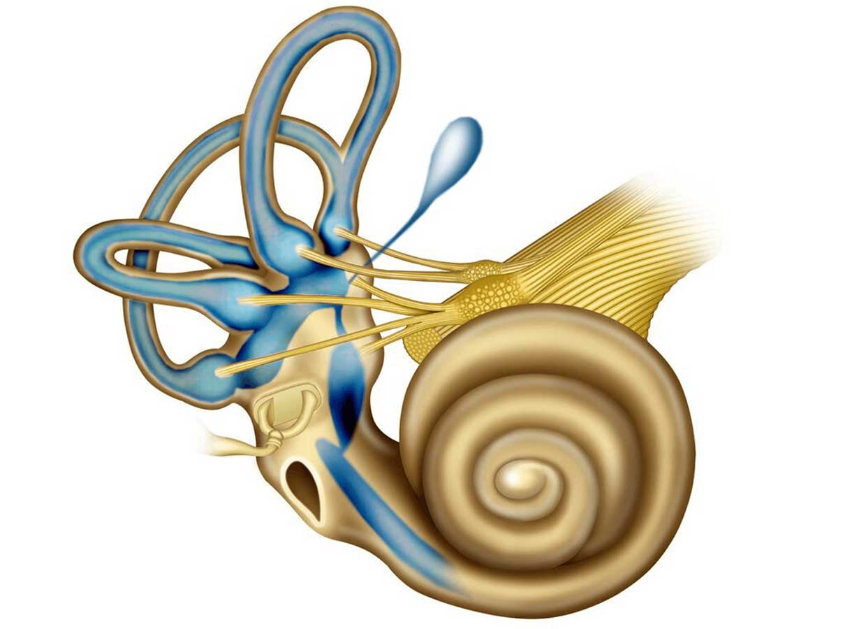 patologias do ouvido interno