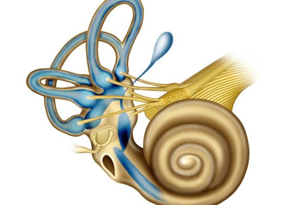 patologias do ouvido interno