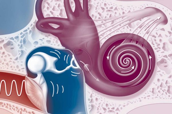 patologias-do-ouvido-medio patologias-do-ouvido-medio
